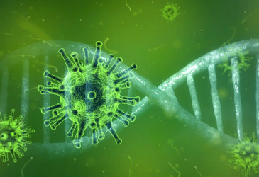 Viruksen ja DNA:n havainnekuva.