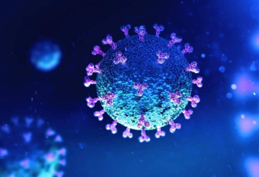 Koronavirus