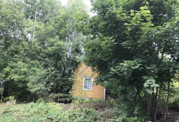 Nuijasuonkadun mökki on myynnissä.