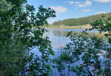 Pintaan noussut paineviemäriputki Törönlahdella.