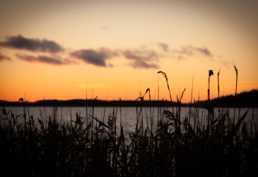 Järvimaisema auringonlaskun aikaan.