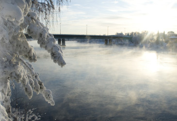 Vuoksi ja luminen puu.