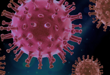 Koronavirus
