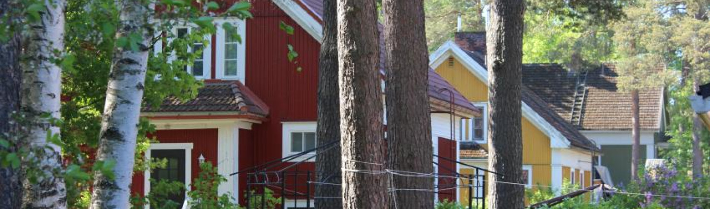 Niskalammen asuinalue
