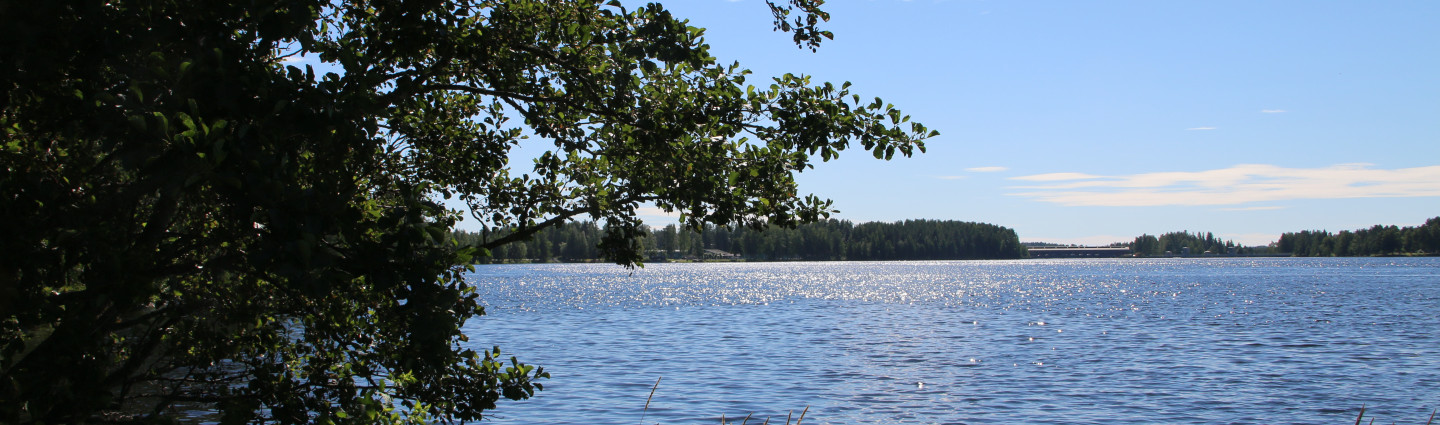 Vuoksi, jonka rannalla on kasvustoa.