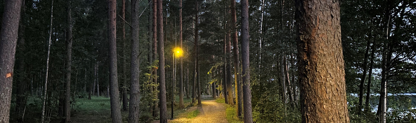 tunnelmallinen valaistus polulla
