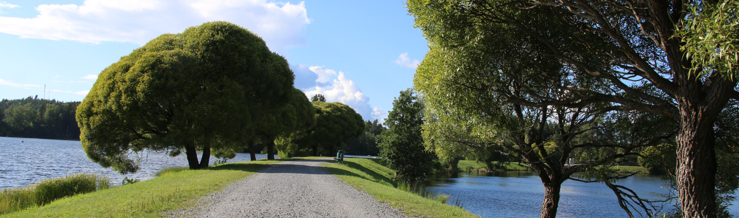 Mellonlahden ja Vuoksen välissä kulkee hiekkatie.