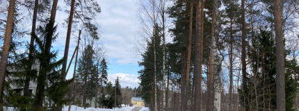 Tie, hankea ja metsää.