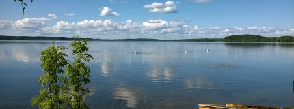 Kesäinen järvimaisema Immalanjärveltä.
