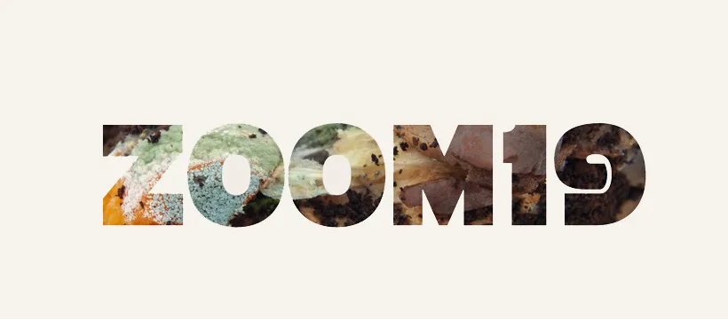 xoom.banneri