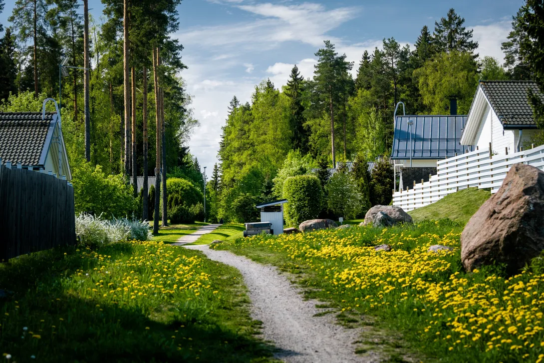 Vuonankujan ympäristöä