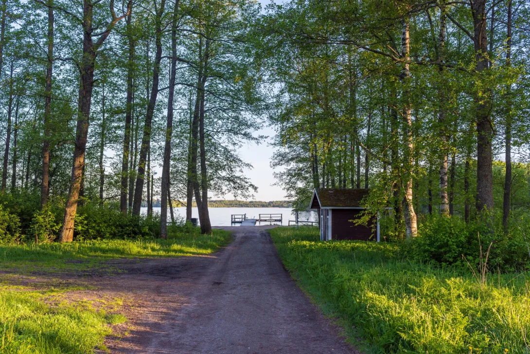 Kesämaisema, jossa puiden reunustama hiekkatie vie kohti järveä.