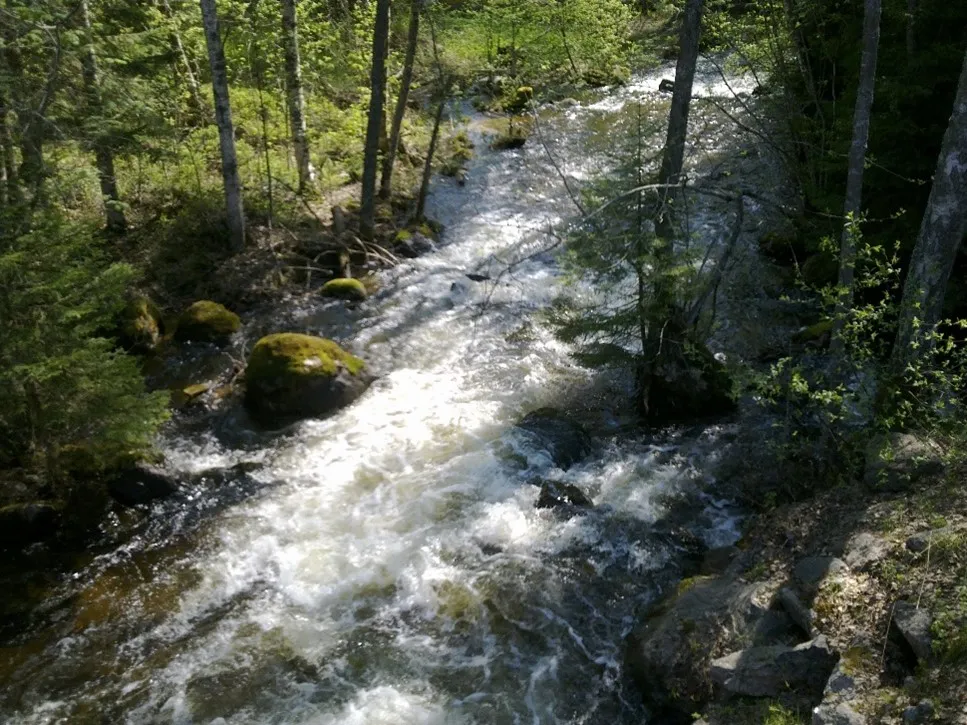Kärinki.