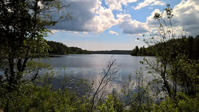Järvimaisema Karjalan Pyhäjärveltä.