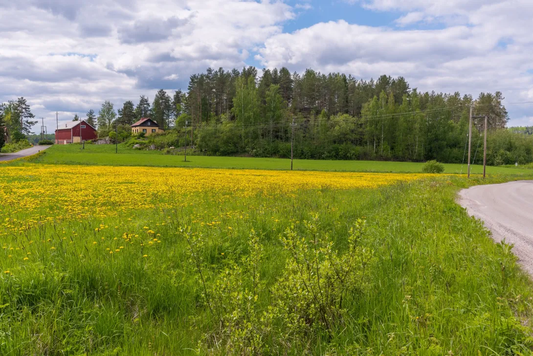 Maaseutumaisema, jossa etualla peltoa ja taustalla omakotitalo.